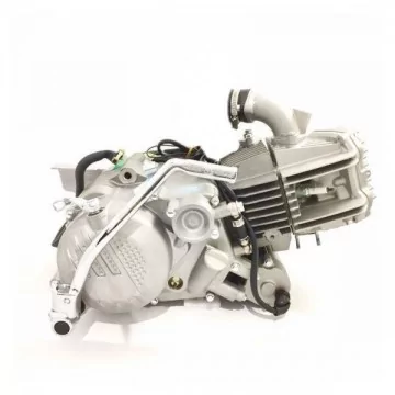 Engine ZS212 4t 2-valve |...