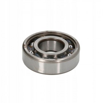 SKF 6204TN9/C4HLHT23...