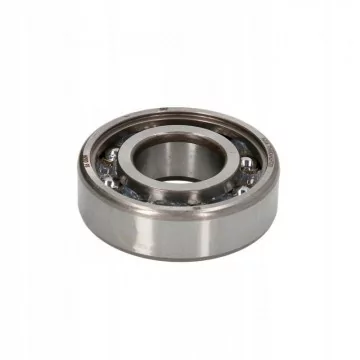 SKF 6204TN9/C4HLHT23...