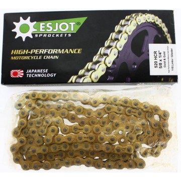 Esjot Chain 520 HCR Gold &...