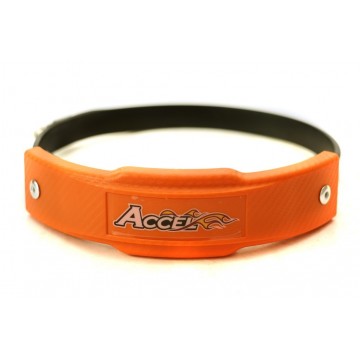 ACCEL INDIVIDUAL PROMOTION...